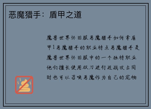 恶魔猎手：盾甲之道